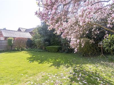 Gardens & Outside